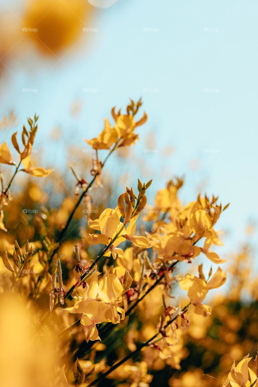 Dare to be different.  Each color in this photo will be experienced differently by each of us.  How beautiful life is.  Is it?