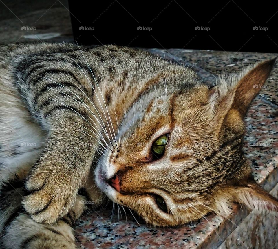 Silent pose captured