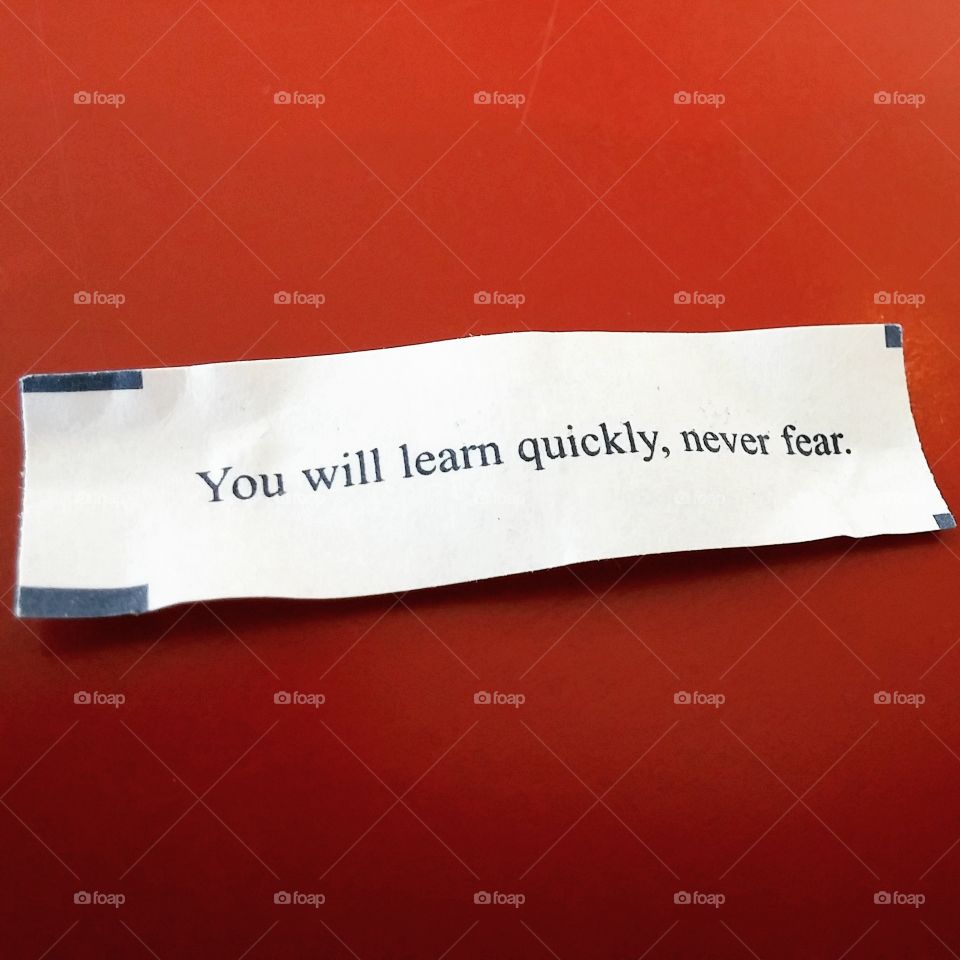 You Will Learn Quickly Never Fear Chinese Fortune Cookir