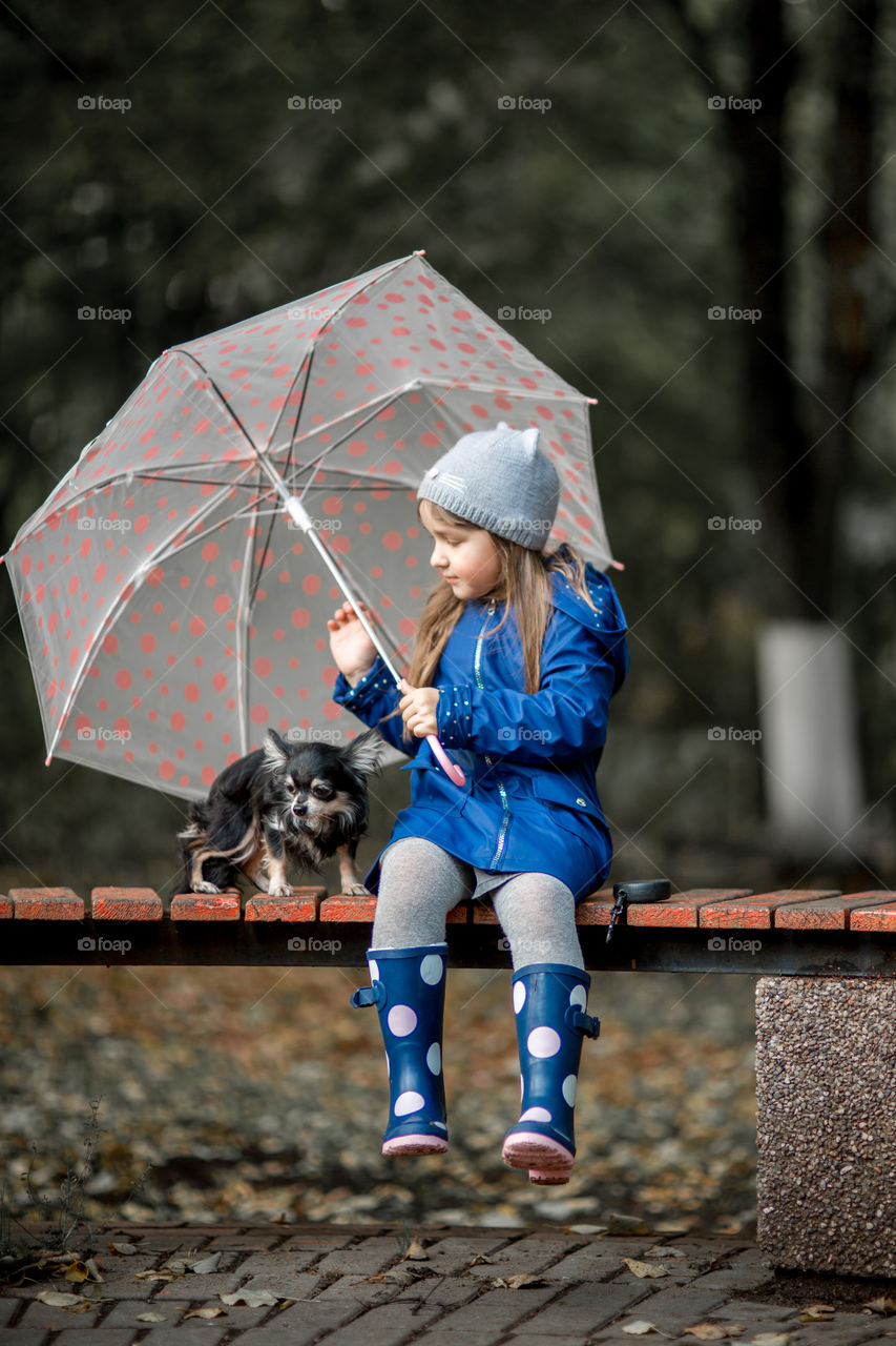 Little girl with umbrella in waterproof boots walking with chihuahua dog 