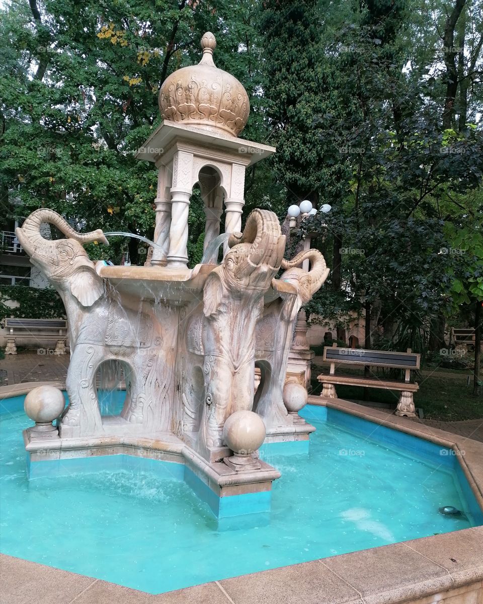 Fountain