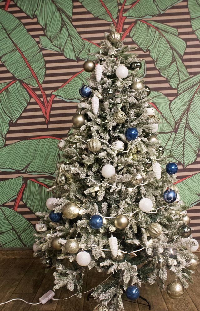 Christmas tree.
