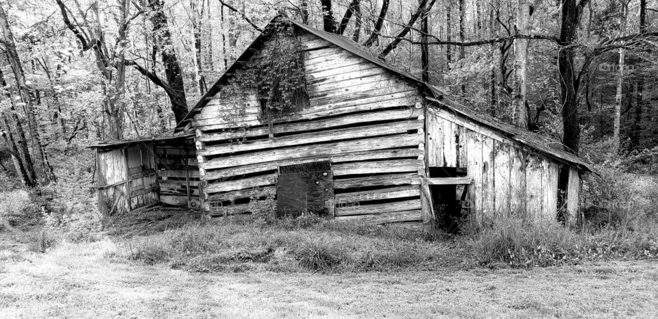 1800s Barn in decay