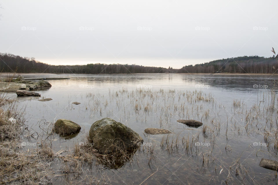 Ice on the lake - frozen .
Sjö is skog
