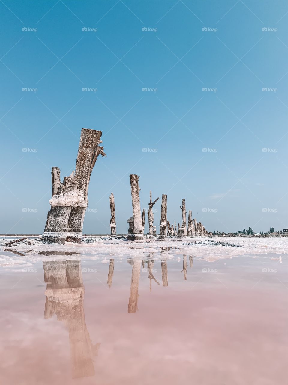 Salt pink lake. 