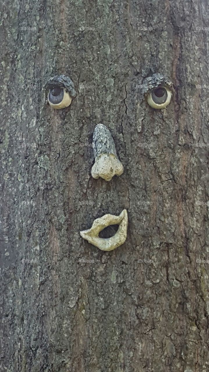 Halloween tree face