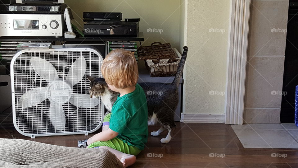 Toddler and His Kitty