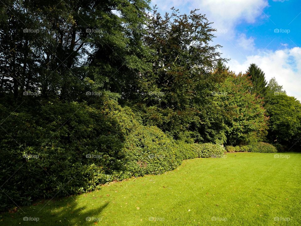 Park in summer in Belgium.
