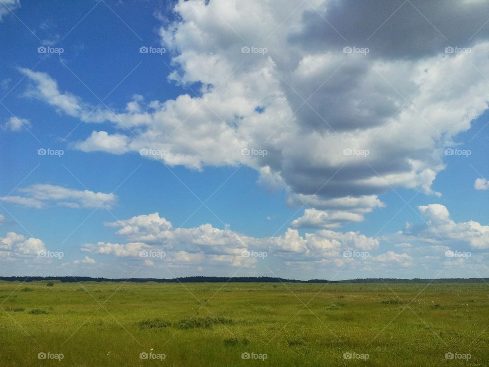 Store Mosse national park