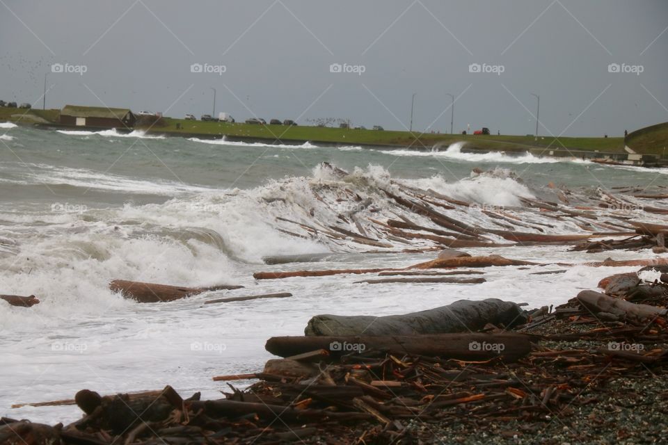 Stormy ocean washing the logs out on the shore