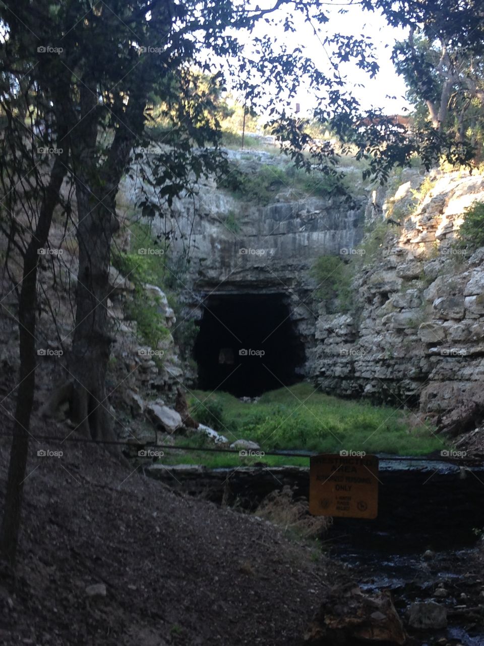 Mexican Free-Tailed Bat Cave. This cave is located in Fredericksburg, Tx. Thousands of Mexican Free-Tailed Bats migrate to this cave every summer. 