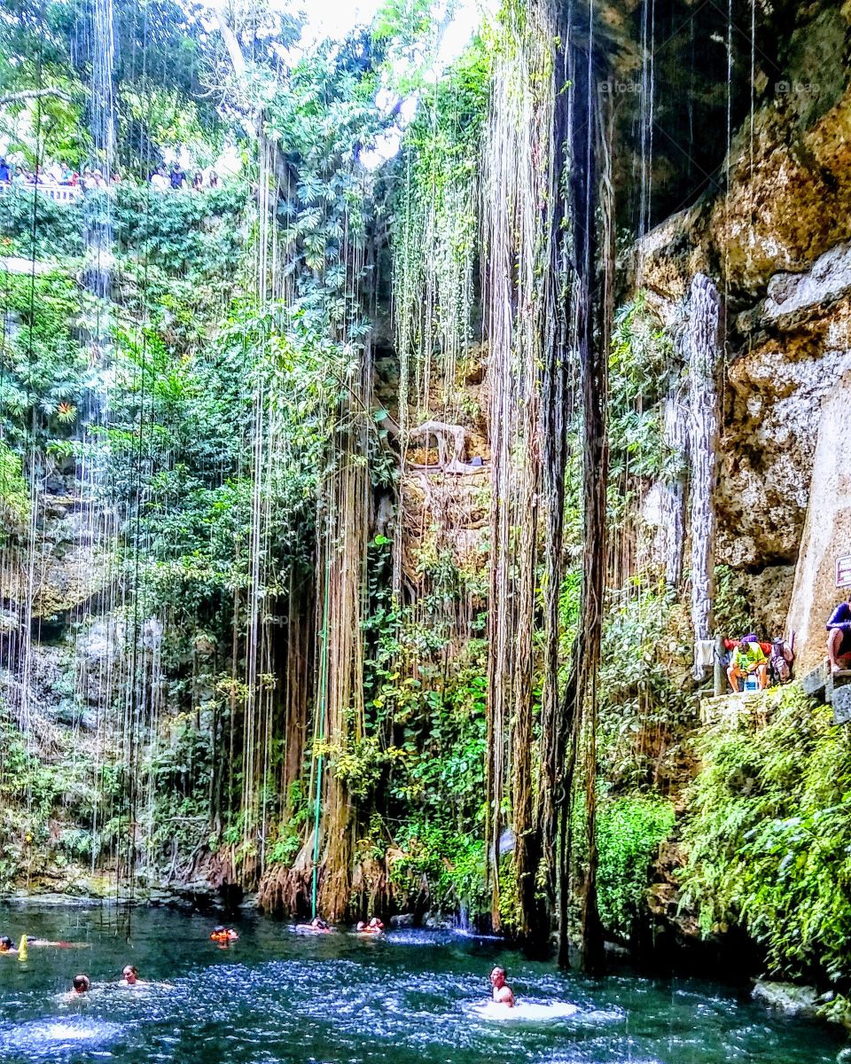 Hermoso cenote Yucatán.