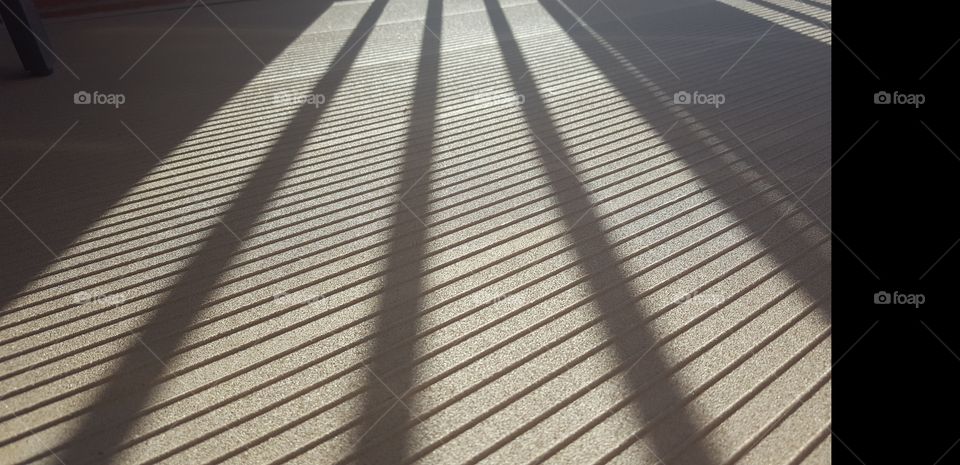 Shadow streaks across a sun filled patio