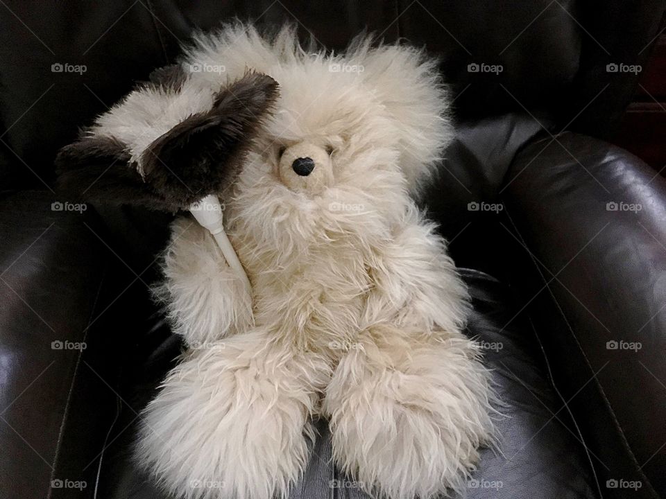 Fluffy teddy bear with feather duster.