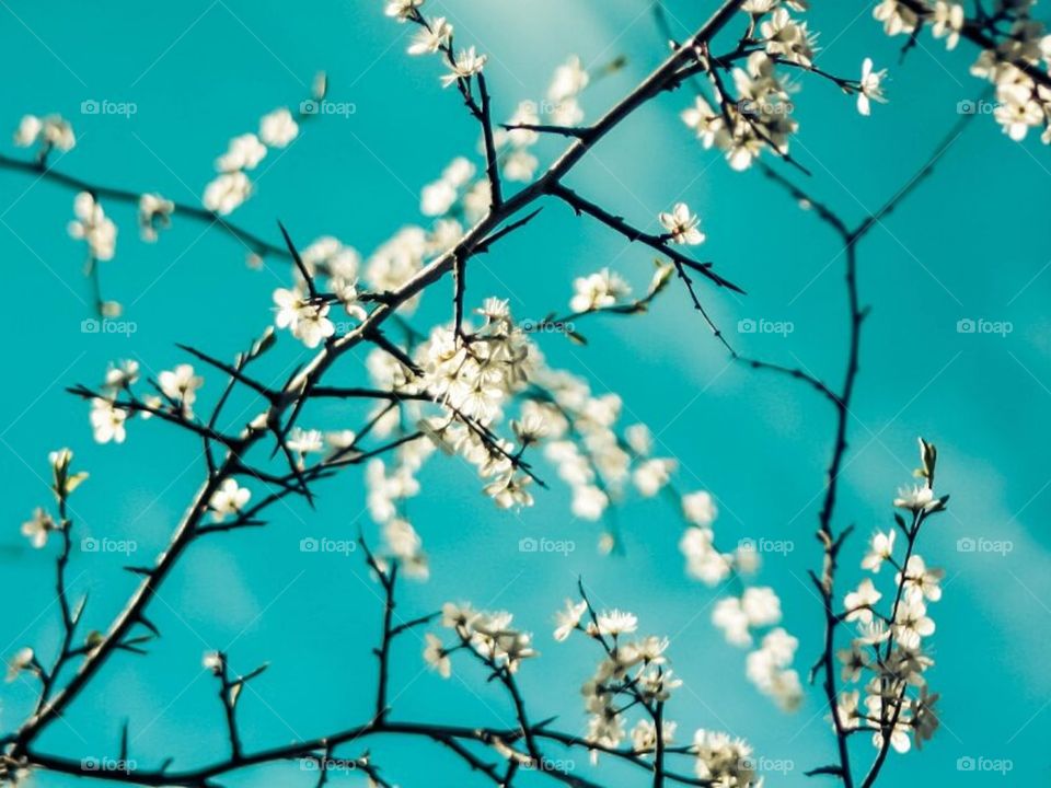 Красота Сибири