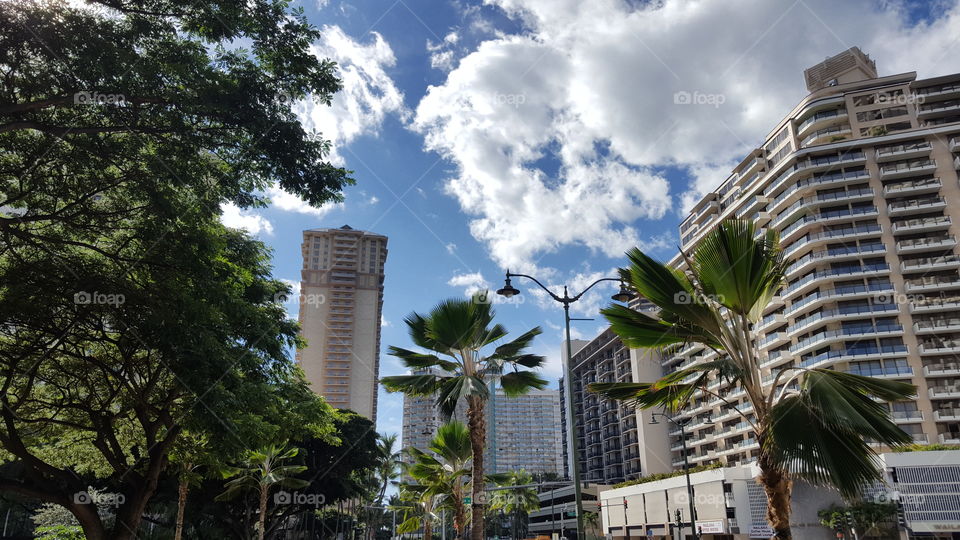 Trees, Towers and Sky