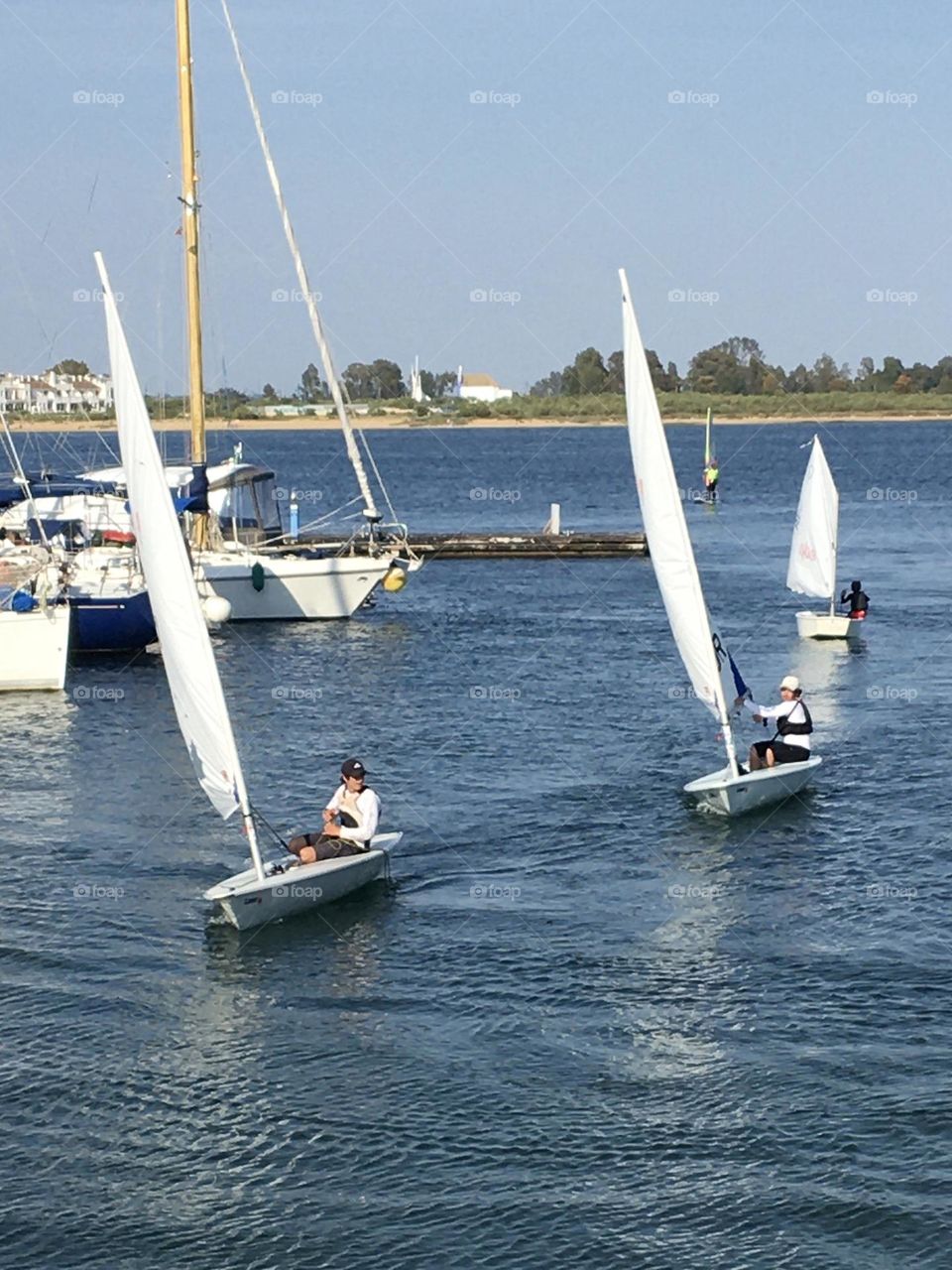 Summertime : season for sailing by a sunny day