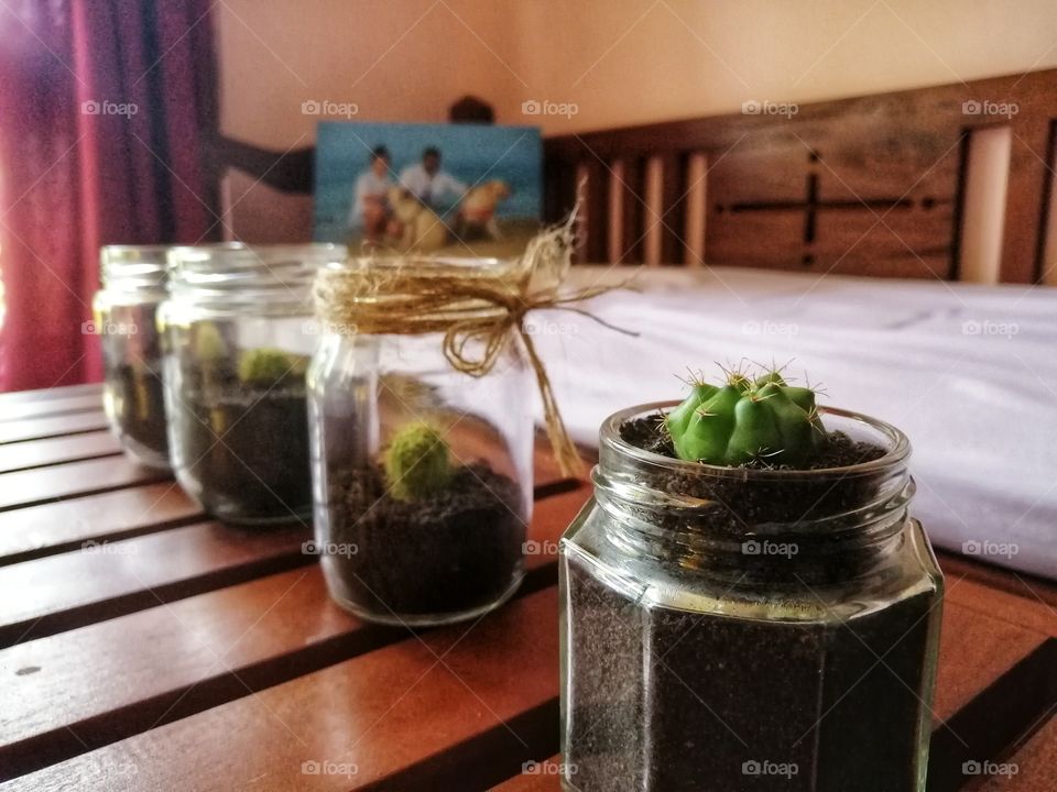 Favorite spot near the window with my tiny cacti plants.