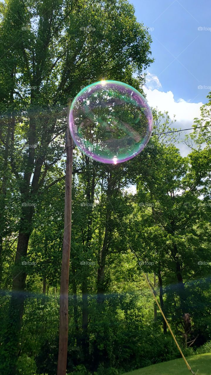 perfect bubble