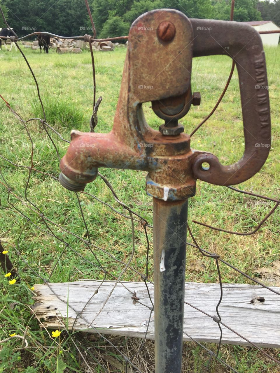 Water pump