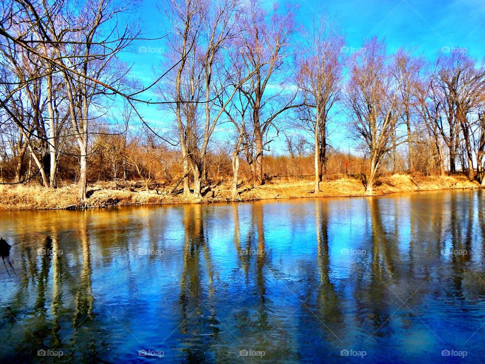River reflection 