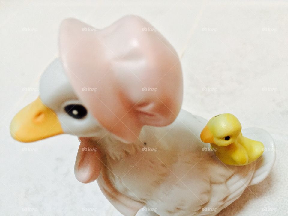 My duck 