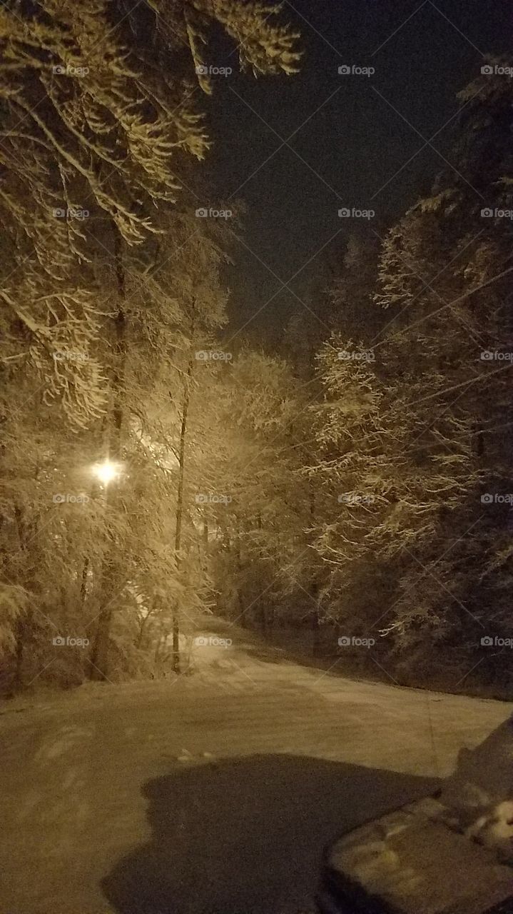 night snow scene down my driveway