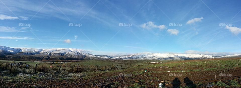 panoramic field with mountain view.
