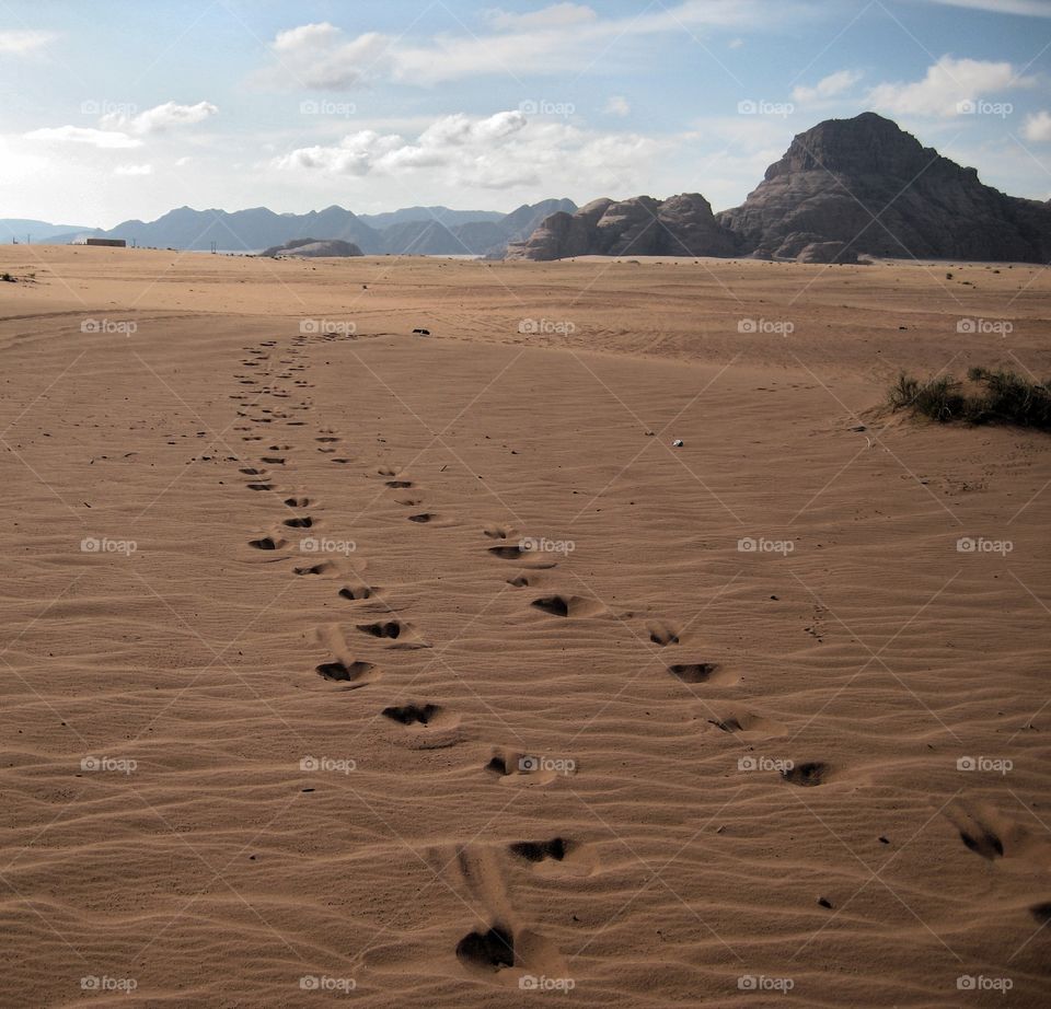 следы на песке