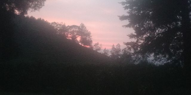 Nature