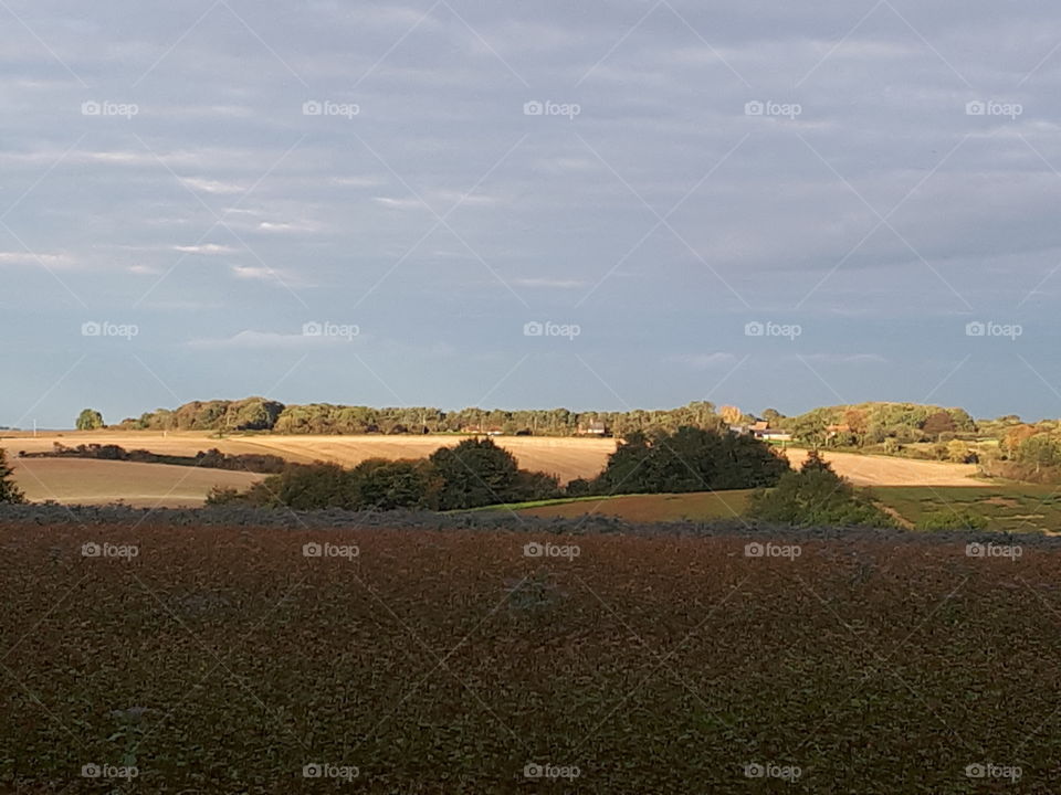 Landscape, No Person, Cropland, Sky, Agriculture