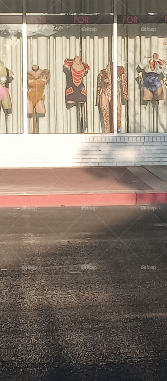 the perfect bitch no brain no voice haha