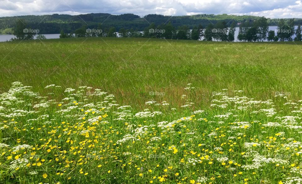 Ovansjo. The place is right where er live!