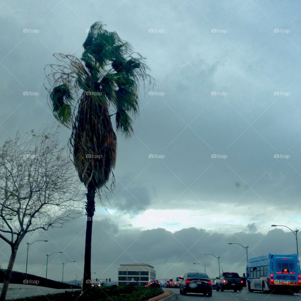 Storm Coming Soon

Published by:
HappyBrownMonkey 