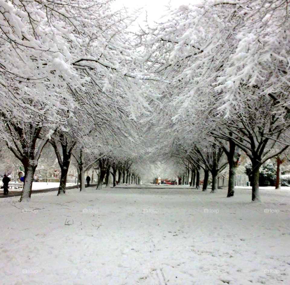 snow winter pretty england by renovatio.28