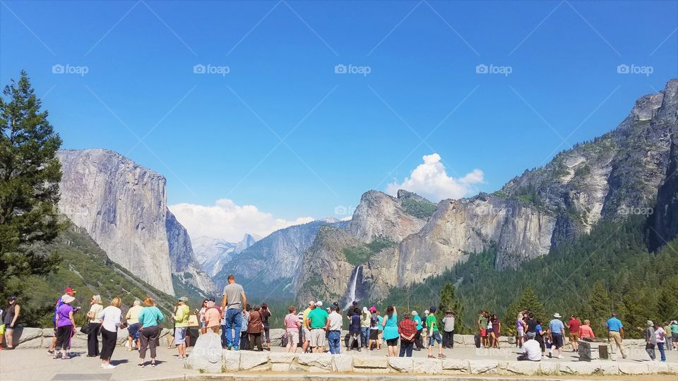 Tour to Yosemite National Park