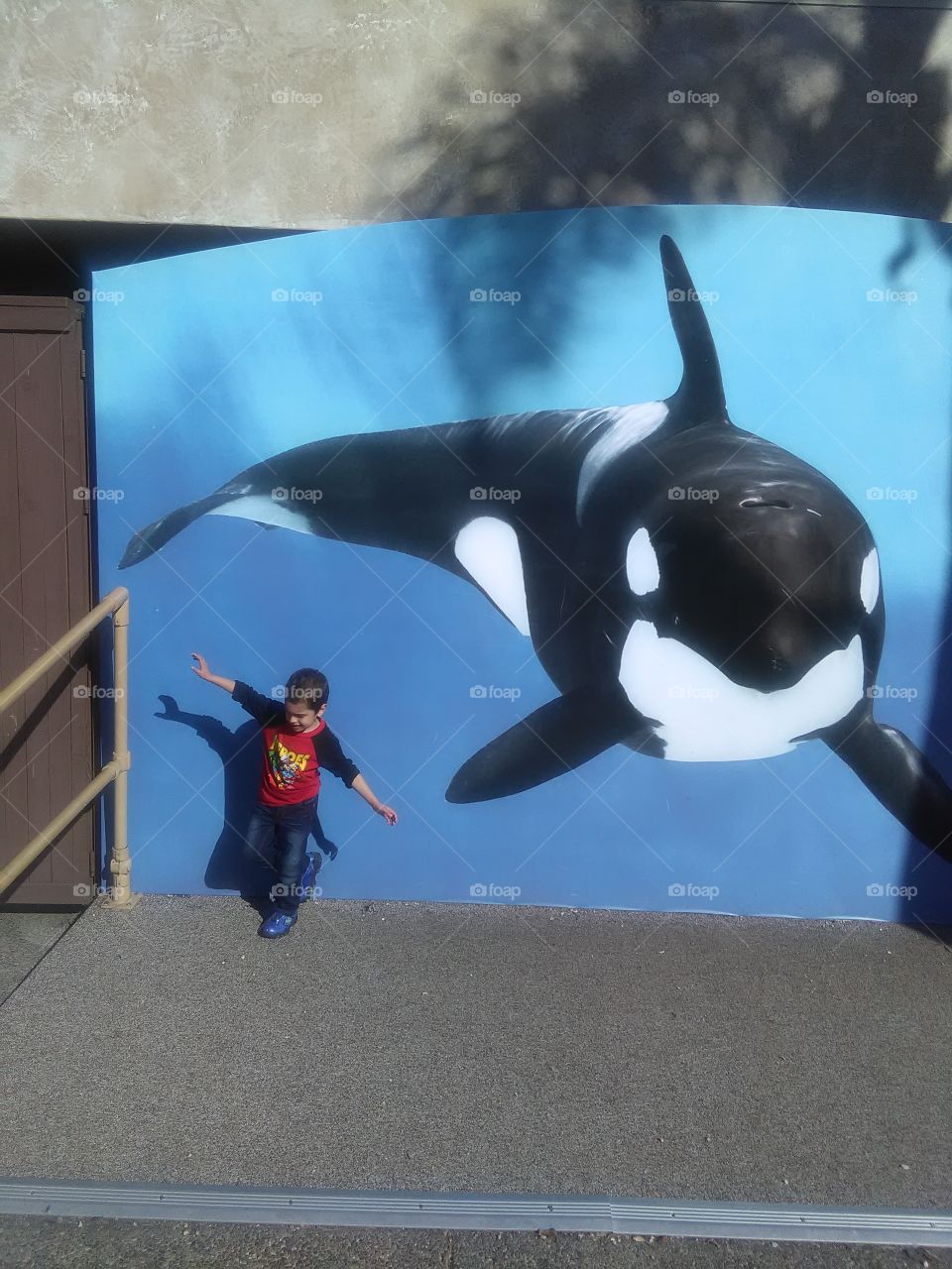 how kids fall in love with an orca