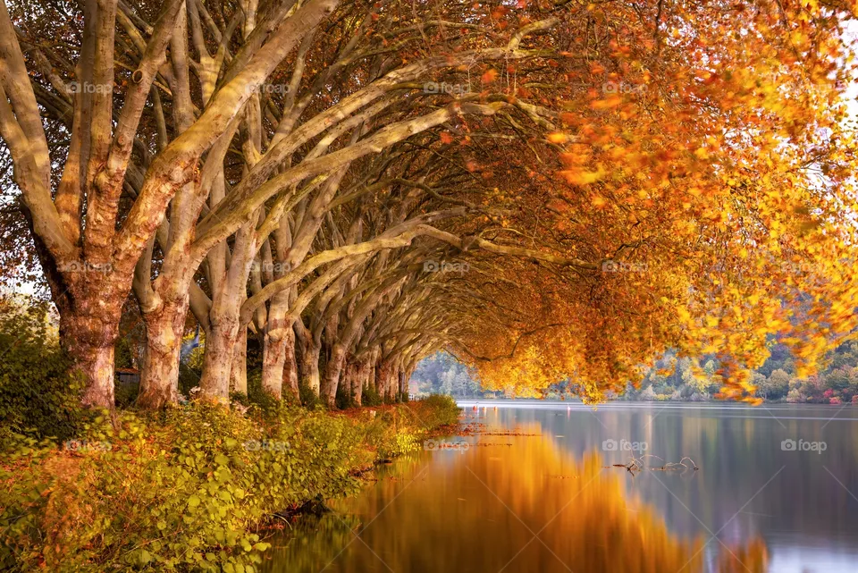 Beautiful autumn