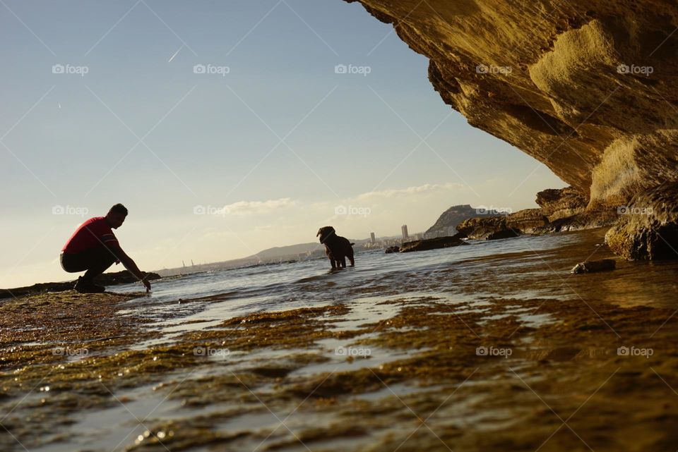 Sea#rocks#sky#nature#human#dog