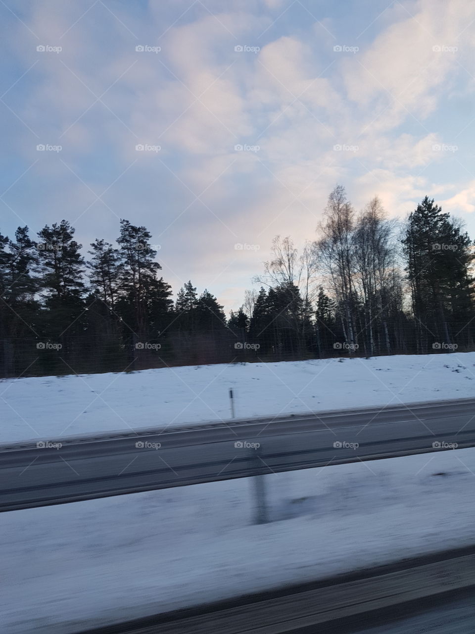 Snow, Winter, Landscape, Tree, Cold