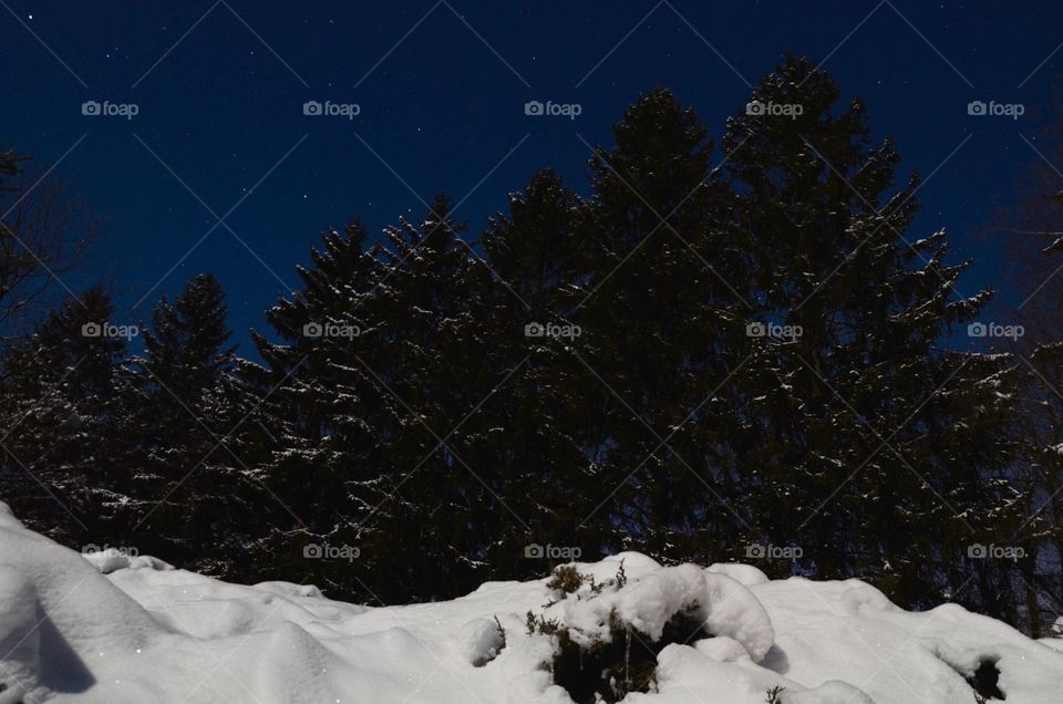 Snow bank and stars. Set up the tripod on a very cold night and took some pictures of the stars and scenery. 