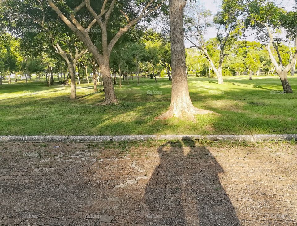 Shadow of two people, couple, at the public park.