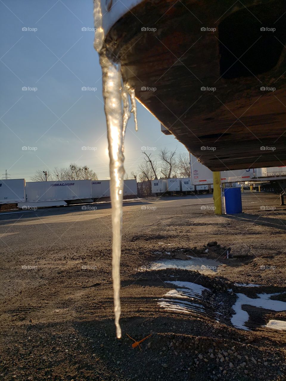 sun behind icicle