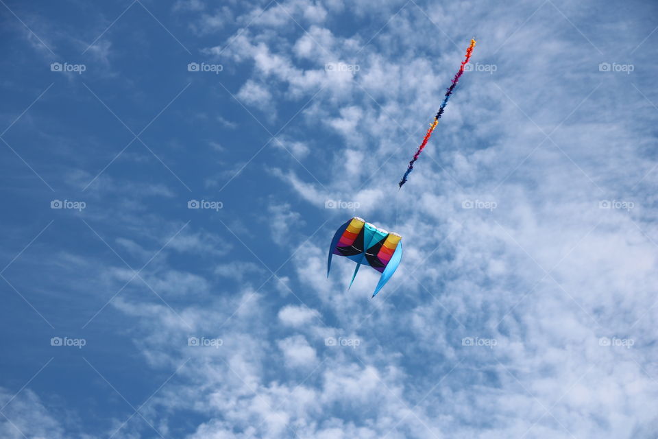 Kite