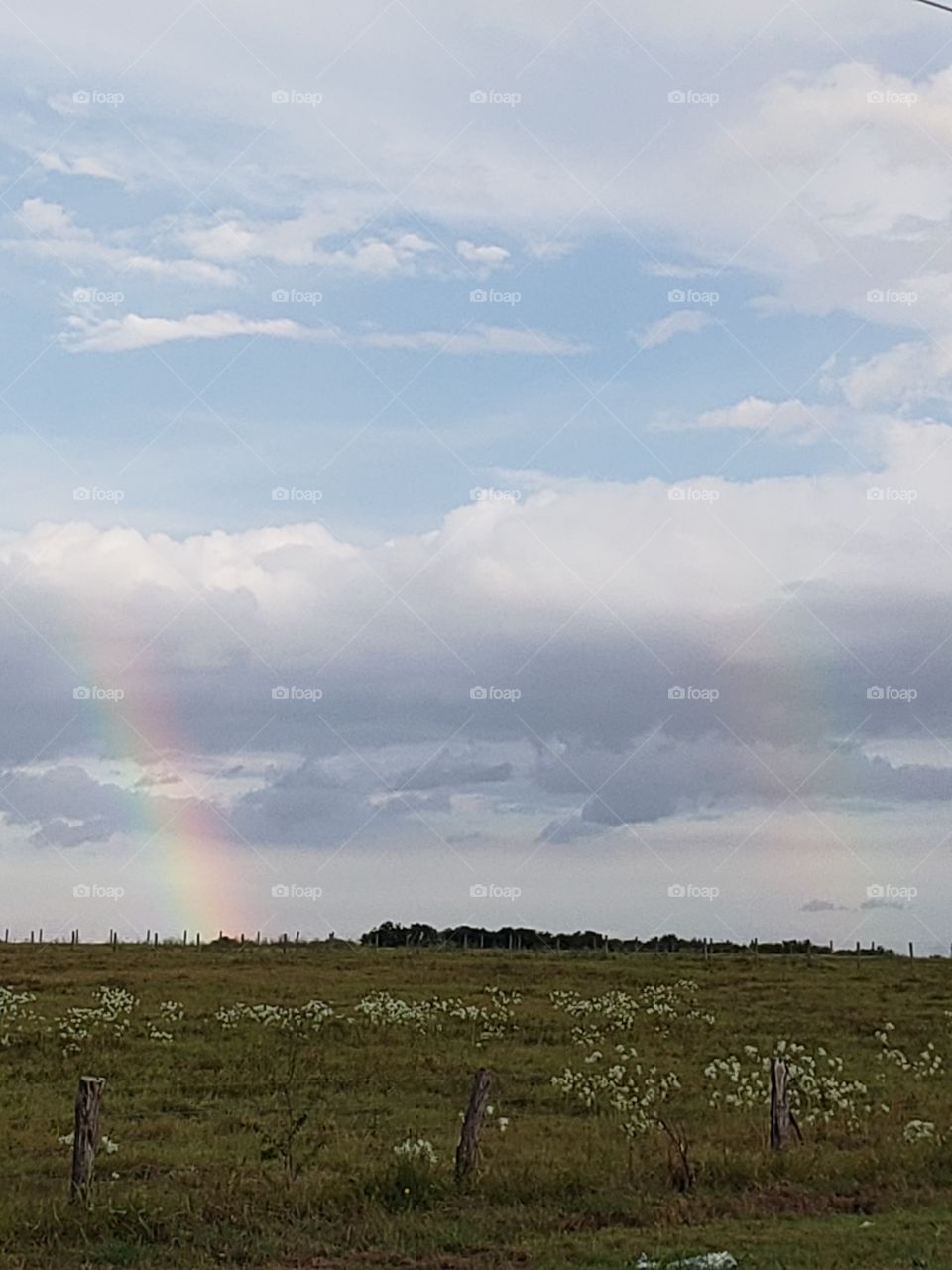 double rainbow