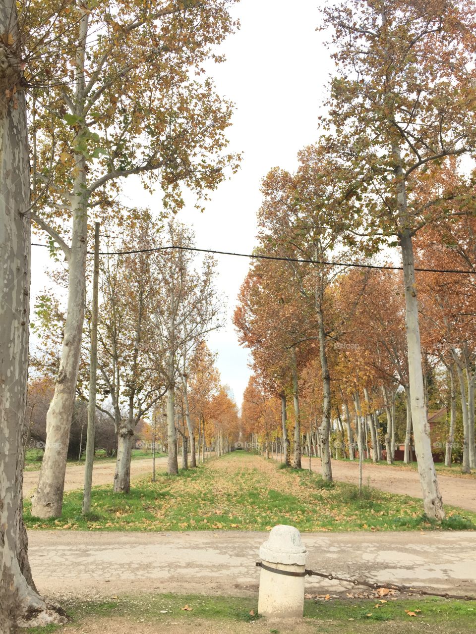 Park in Aranjuez, Madrid
