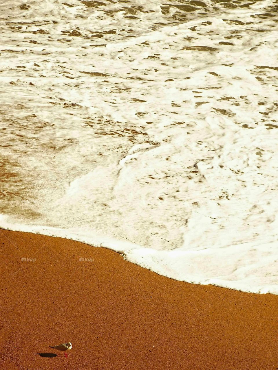 The best of photography