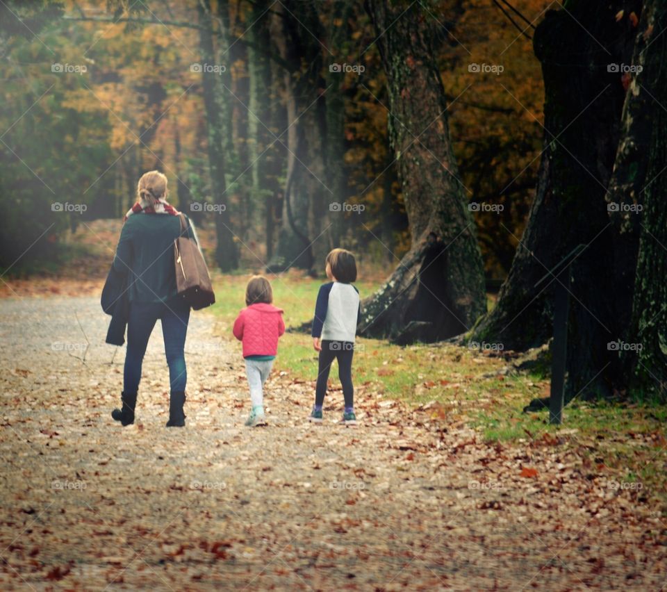 Walk in the Woods in Autumn