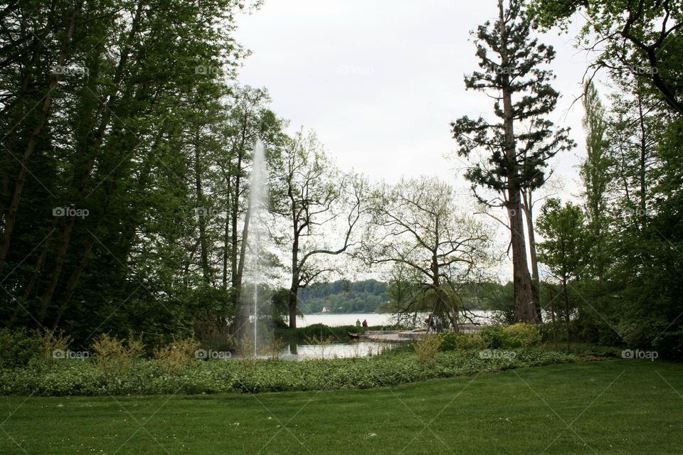 fountain in the park