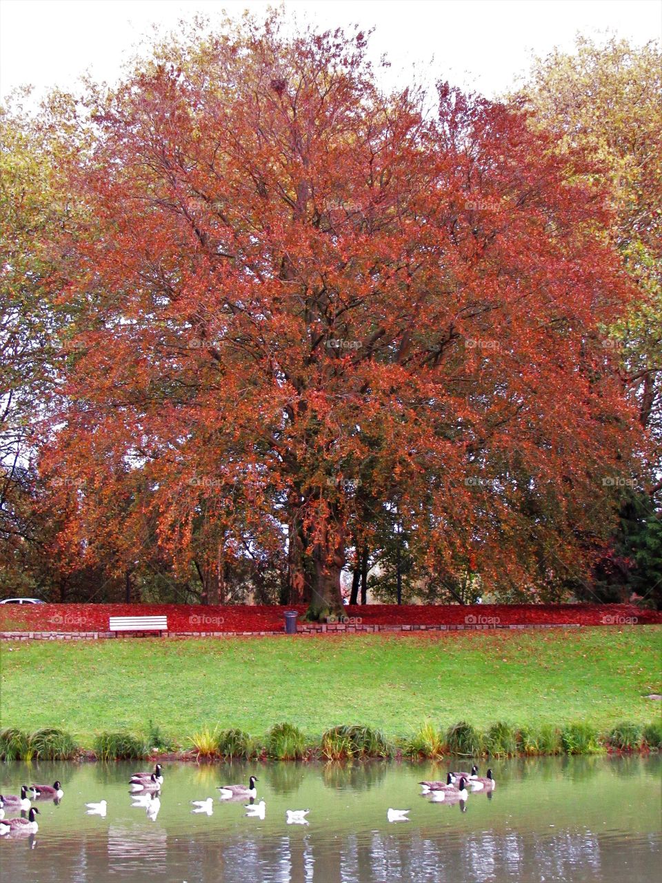 In the park